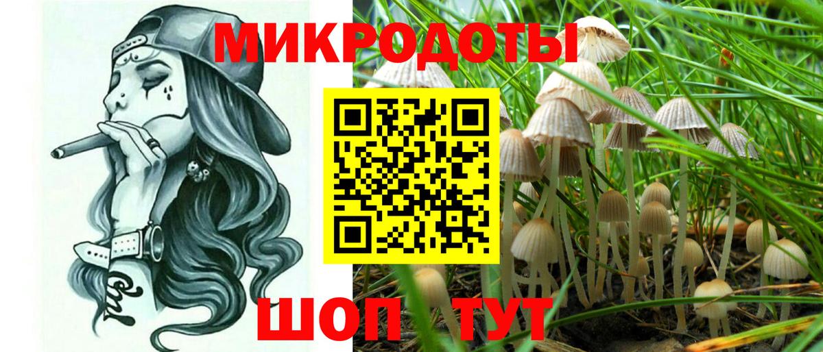 Галлюциногенные грибы прущие грибы Лангепас