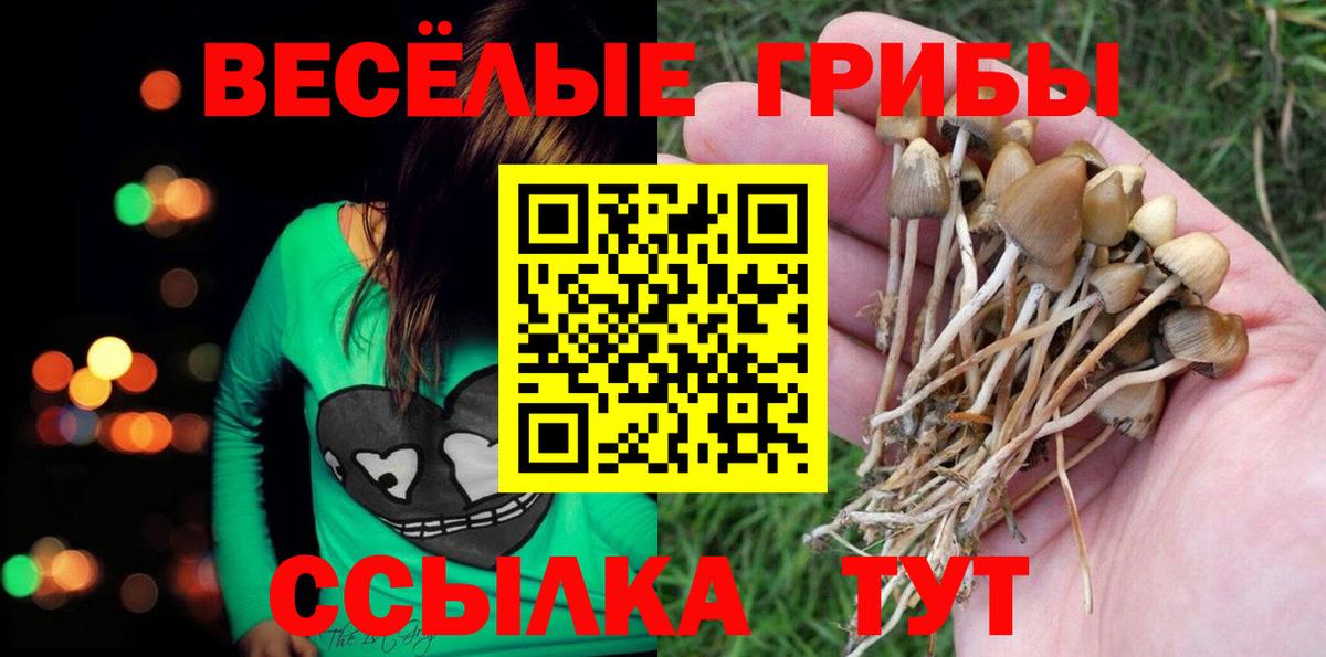 Лангепас  Псилоцибиновые грибы прущие грибы  Вход с VPN 